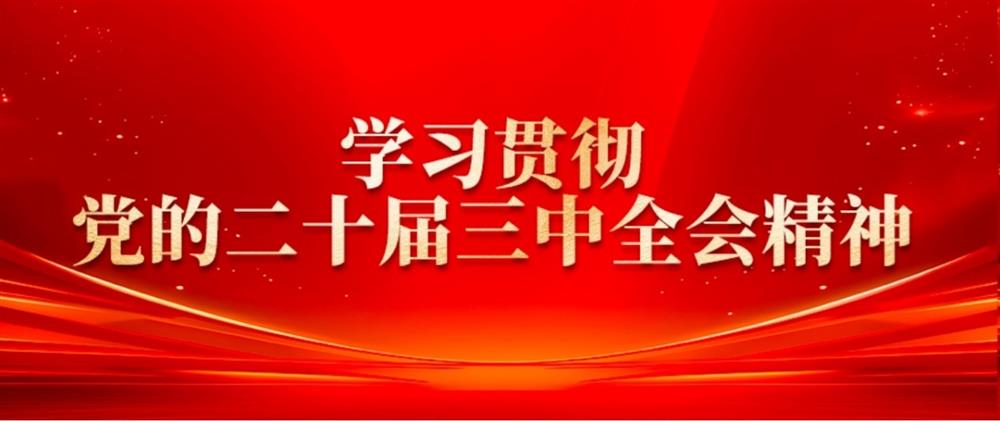 學(xué)習(xí)貫徹黨的二十屆三中全會(huì)精神③ 濟(jì)糧集團(tuán)黨委書記、董事長(zhǎng)王暉： 提升綠色倉(cāng)儲(chǔ)水平，扛穩(wěn)糧食安全重任